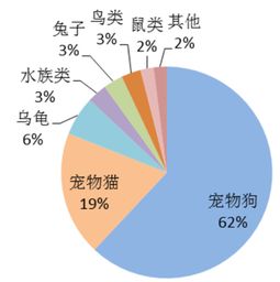 宠物行业现状分析及优缺点总结