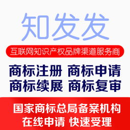 淘宝知识产权保护系统：保障商家权益的重要工具