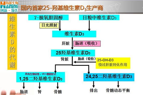 淘宝货源因素案例分析：影响淘宝货源的关键因素及解决策略