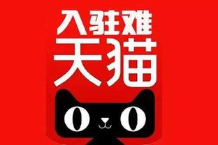 入驻天猫需要什么(入驻天猫需要什么条件)