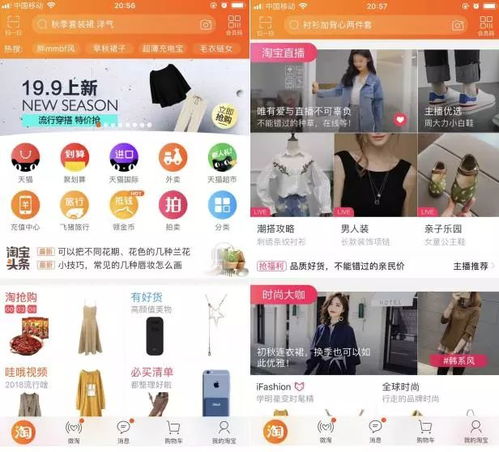 淘宝hot探索淘宝热门商品的魅力与价值