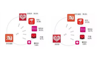 淘宝拼多多开店成本分析及投资预算